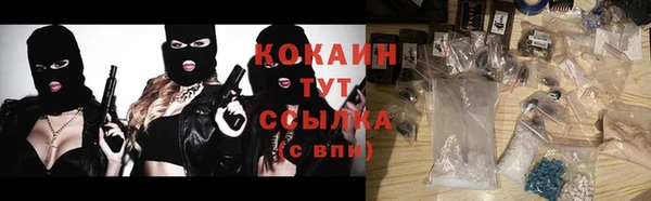 кокс Богородицк