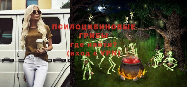 кокс Богородицк