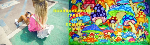 не бодяженный Богданович