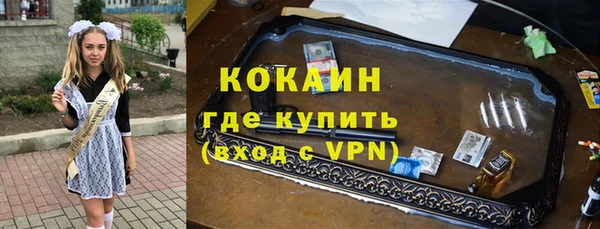 кокс Богородицк